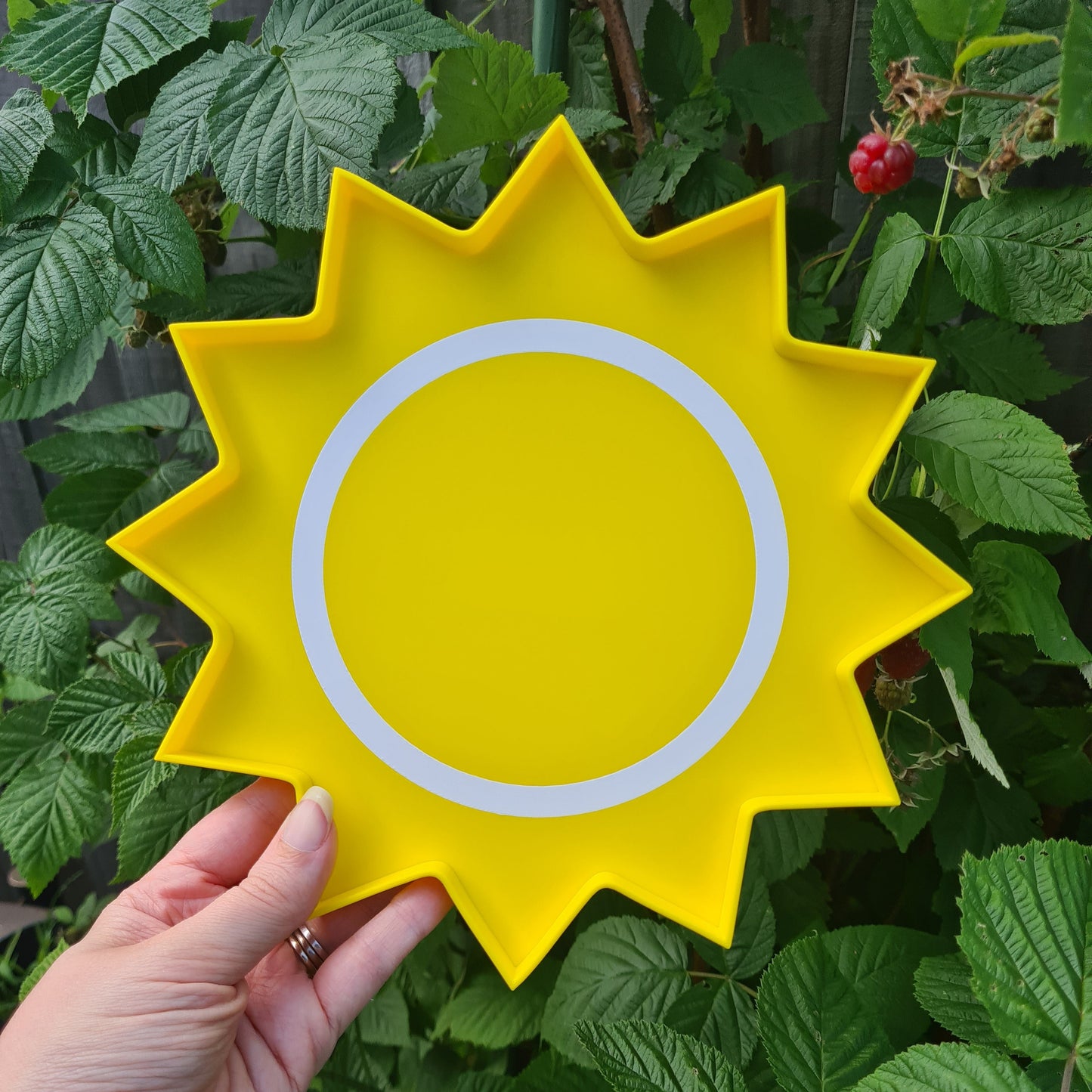 Sun Play Tray
