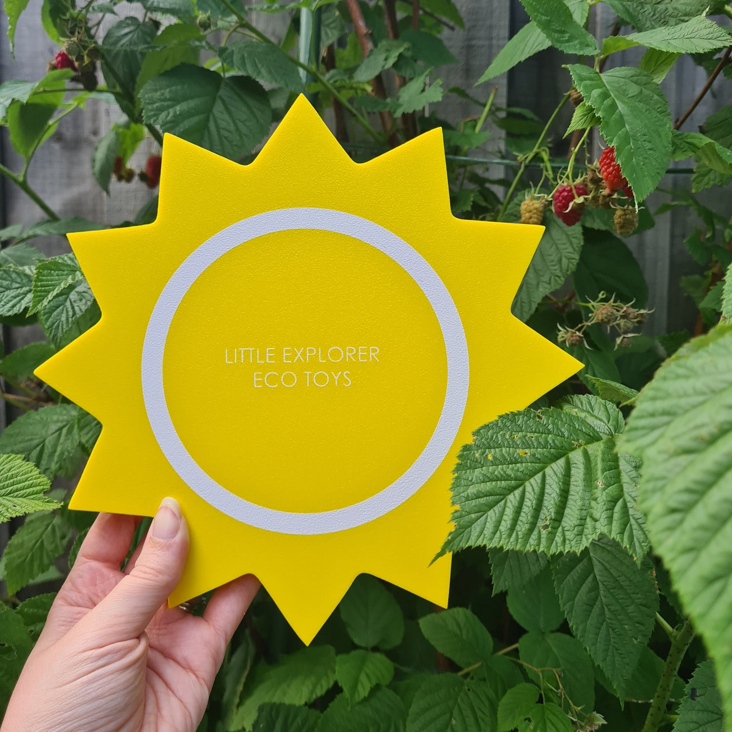 Sun Play Tray