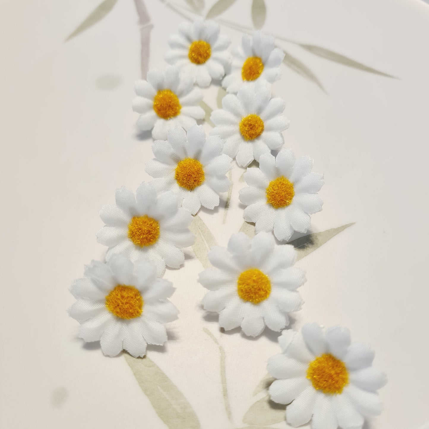 Daisies