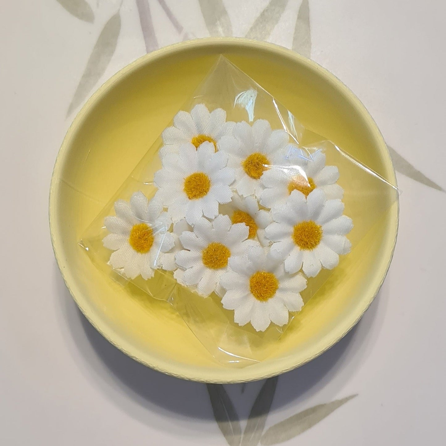 Daisies