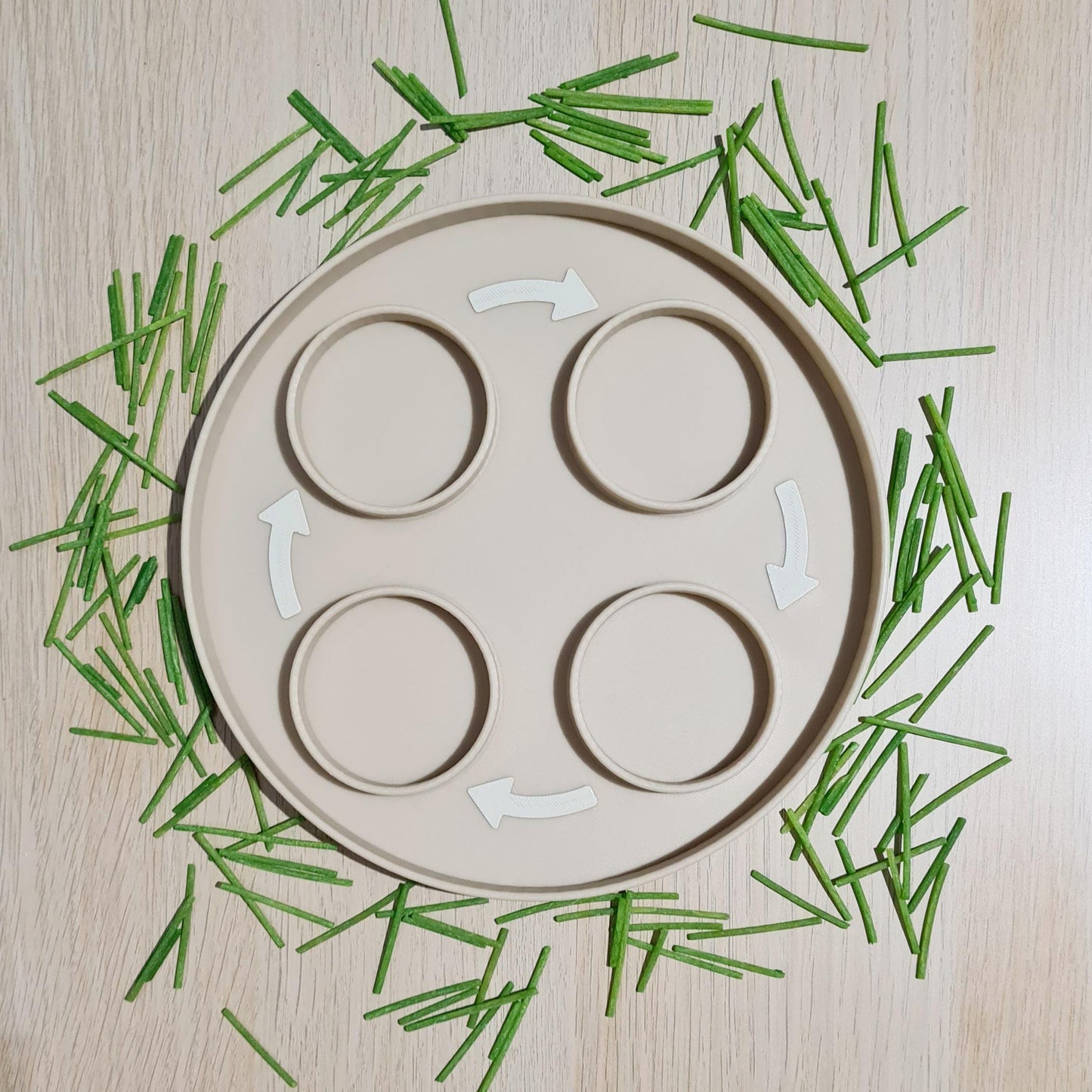 Life Cycle Play Tray