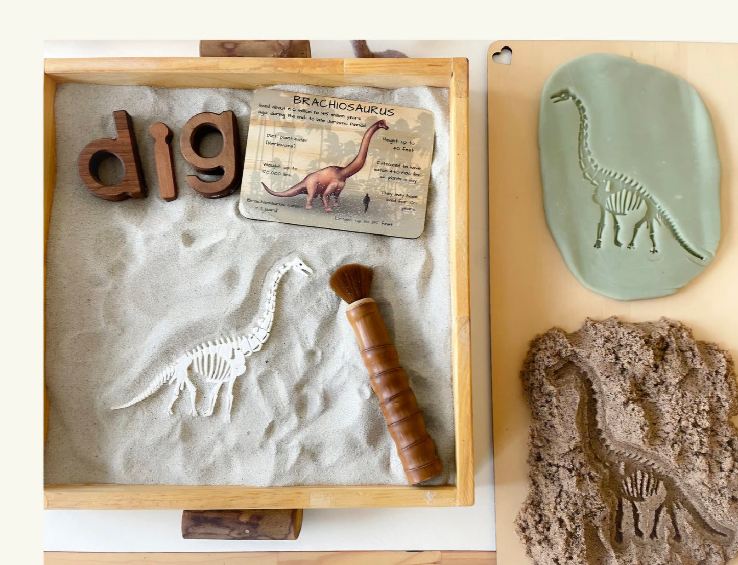 Prehistoric Fossils for Sensory Play