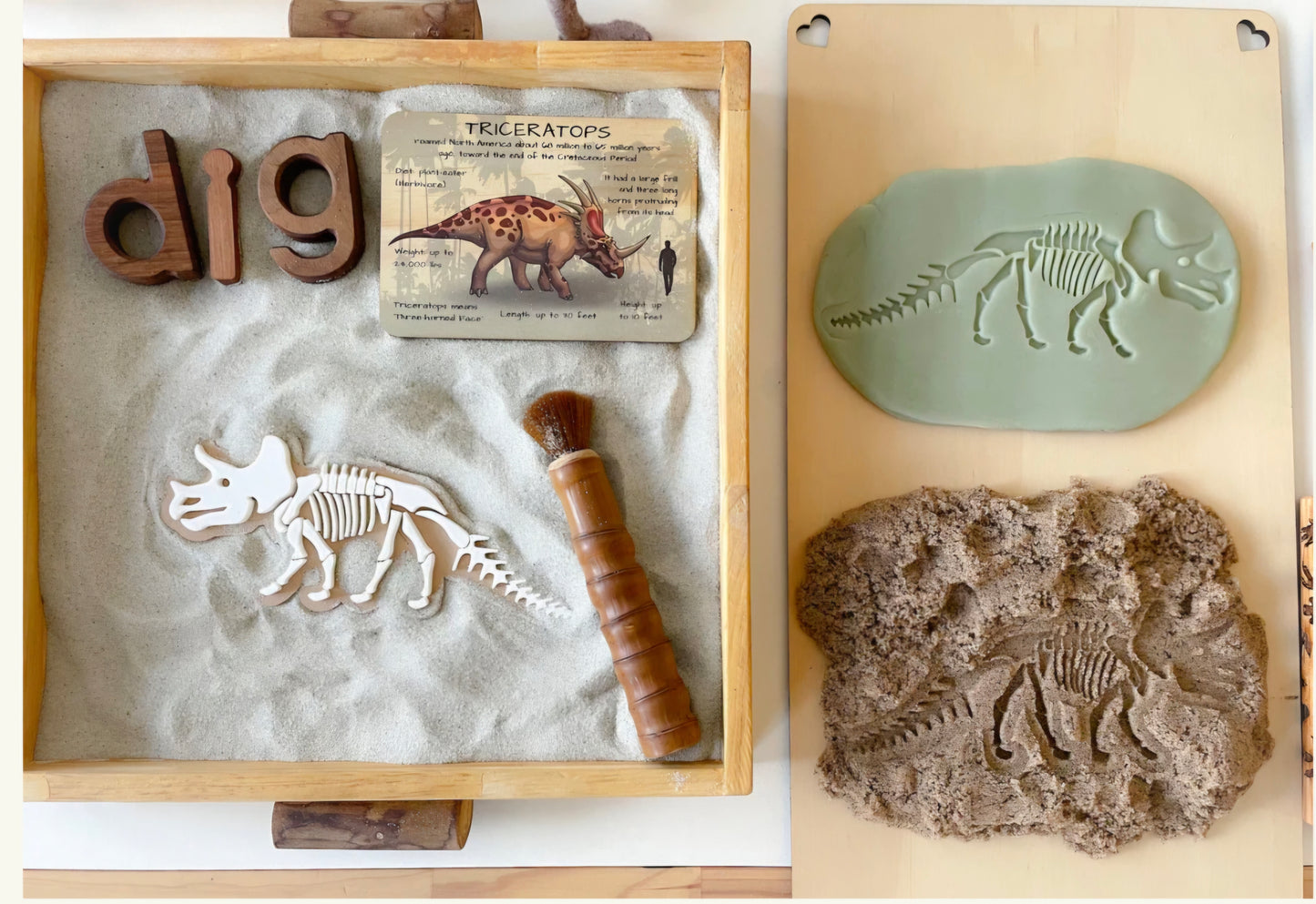 Prehistoric Fossils for Sensory Play