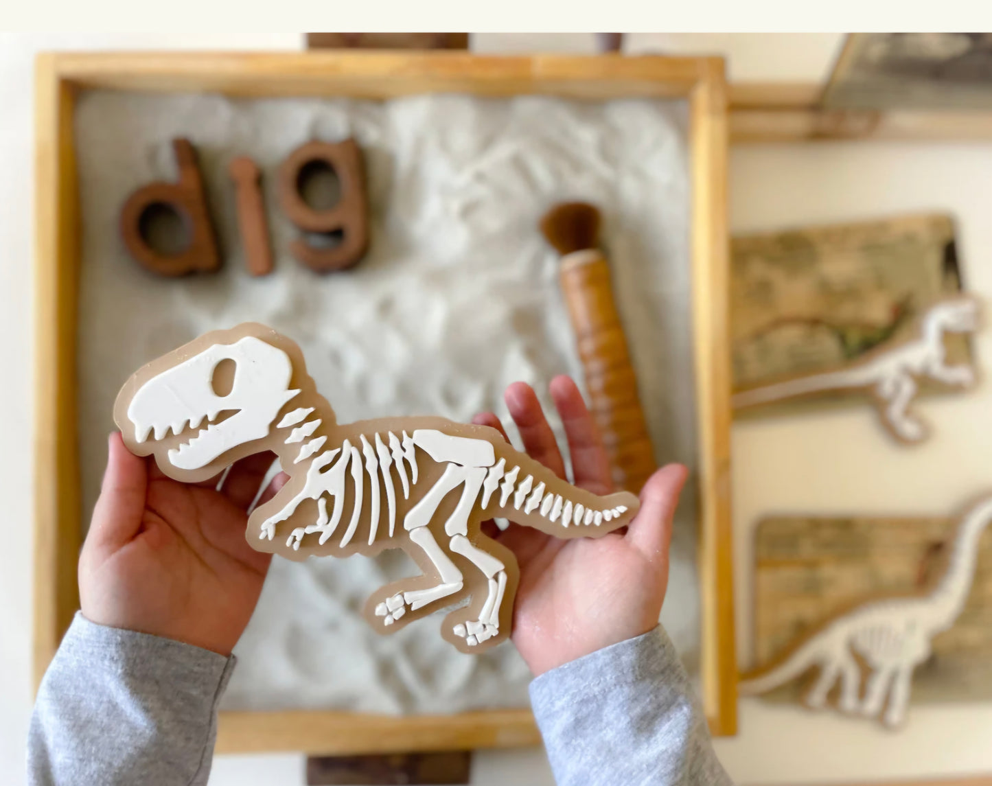 Prehistoric Fossils for Sensory Play