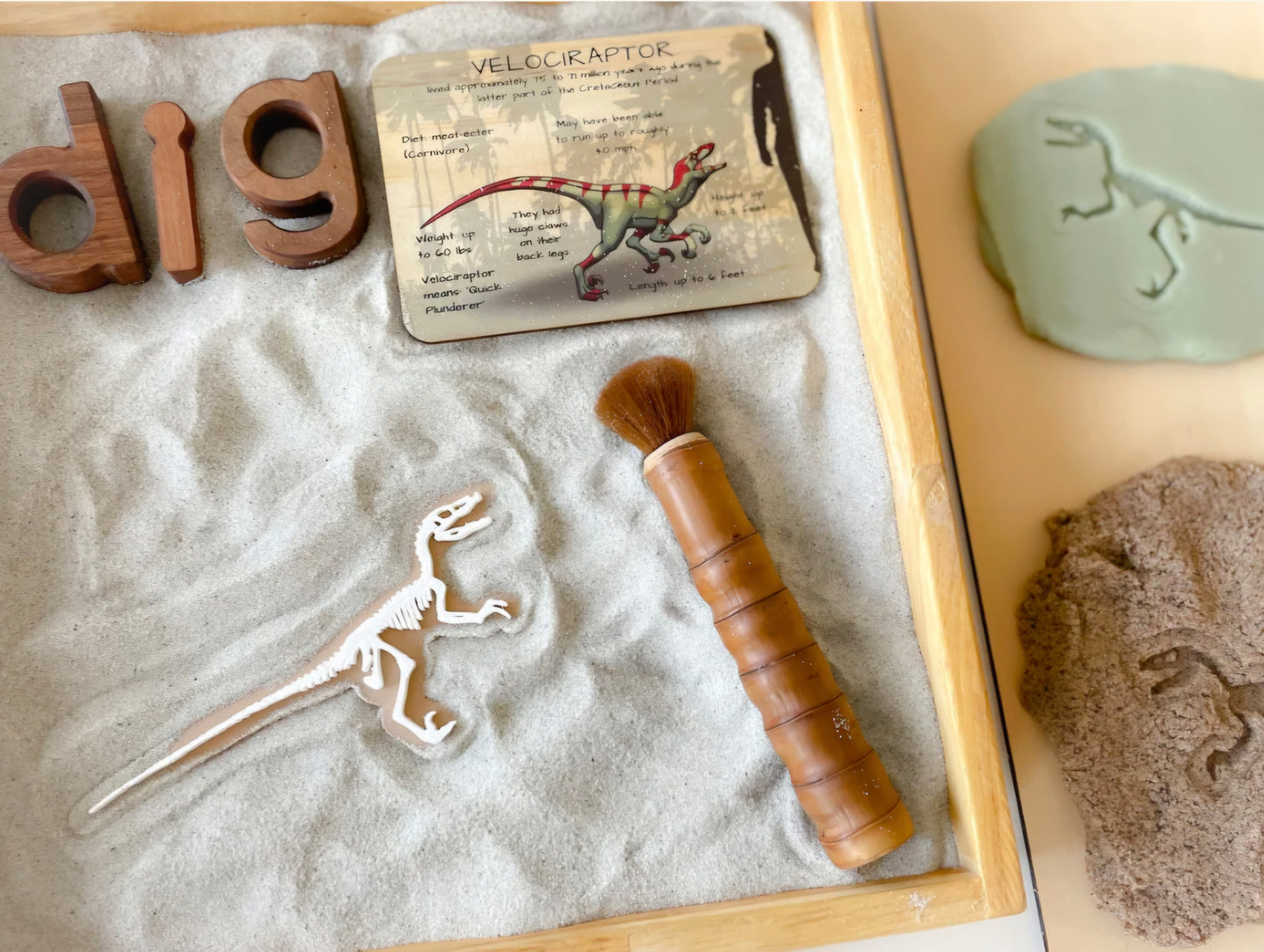 Prehistoric Fossils for Sensory Play