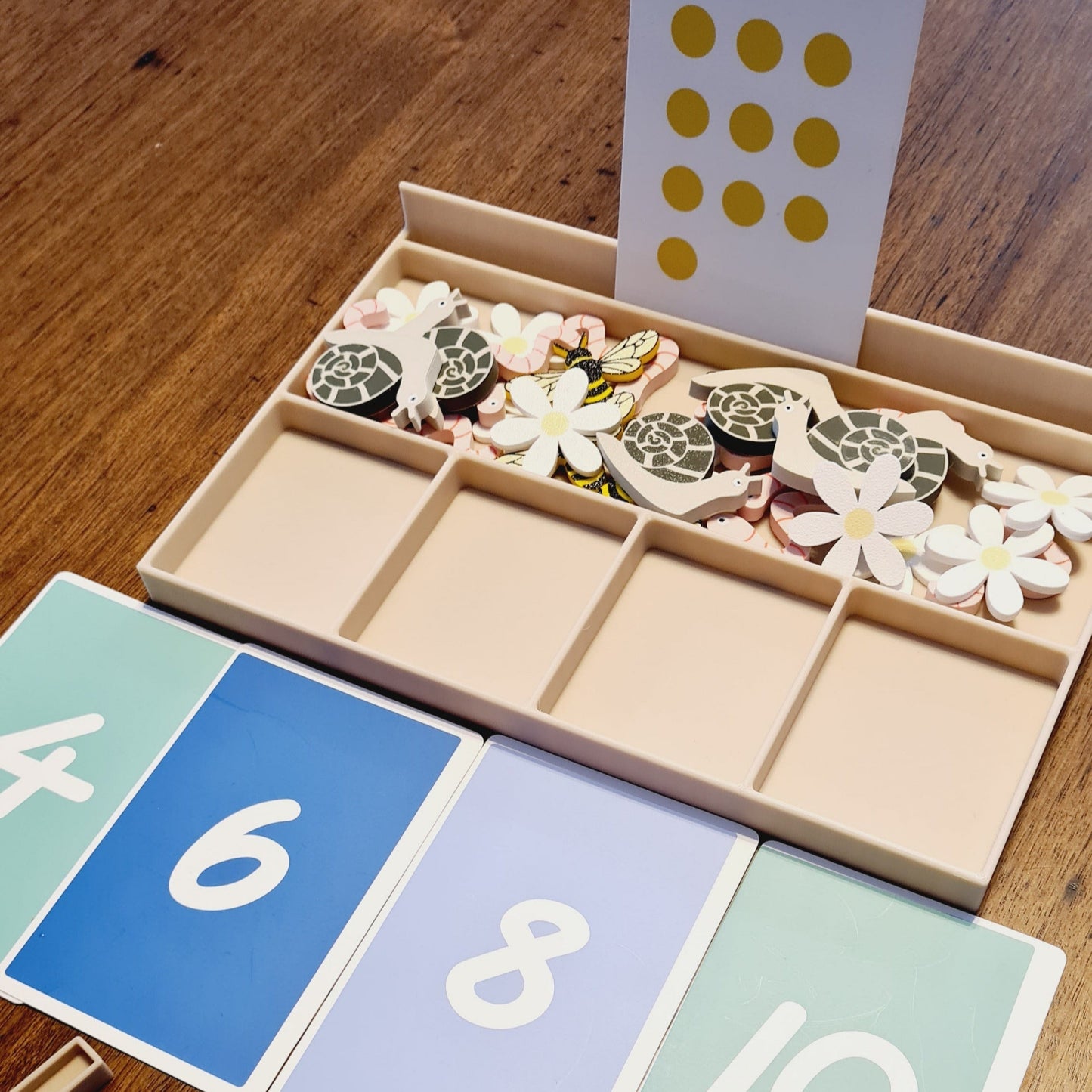 Learning & Sorting Tray