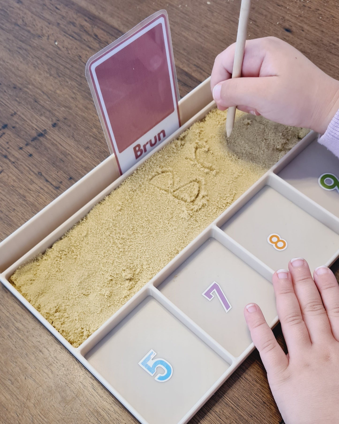 Learning & Sorting Tray