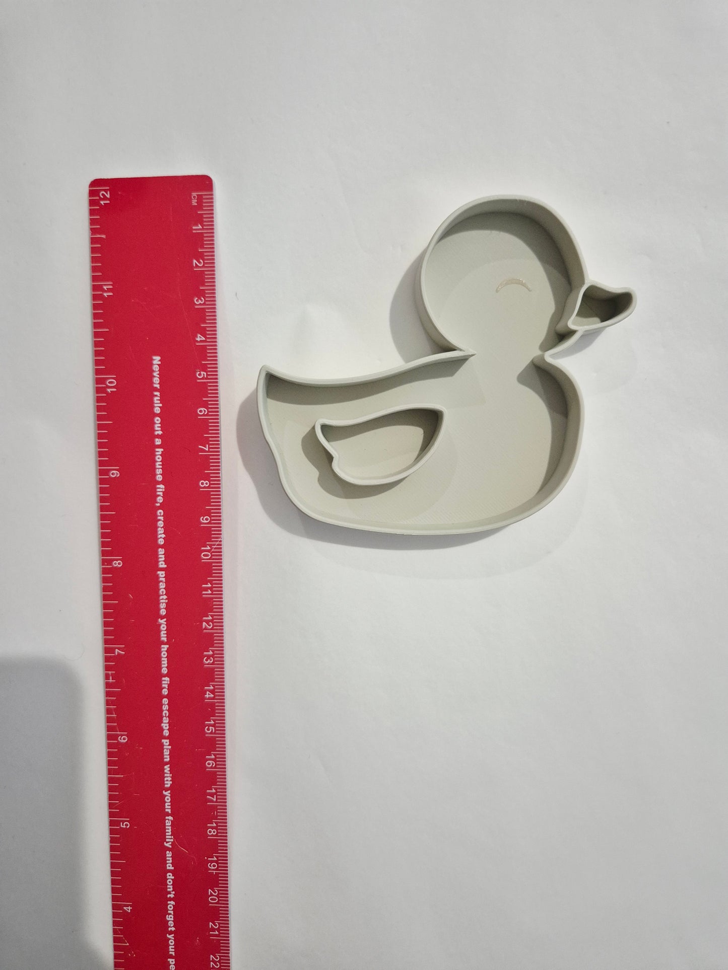 Baby Duck in neutral